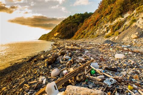 Garbage And Wastes On Beach Stock Photo Image Of Ocean Ecology 78276526