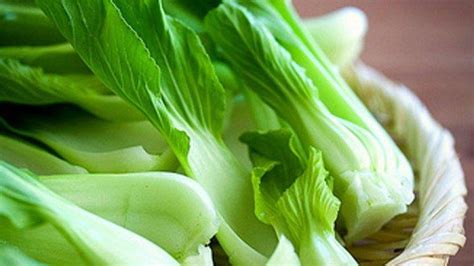 Bok Choy English Vegetable