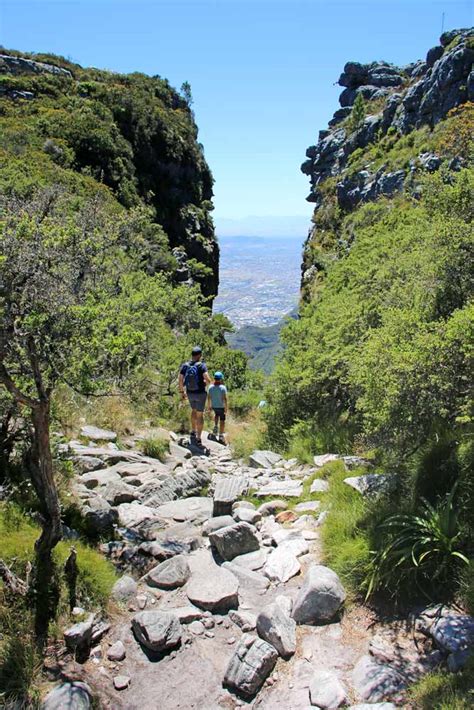 Beautiful Hikes In Cape Town Best Trails In The City Stingy Nomads