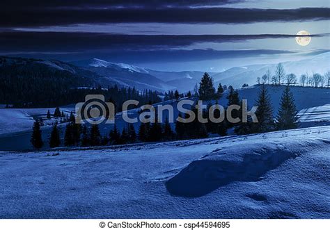 Spruce Forest On Snowy Meadow In High Mountains At Night Spruce Forest