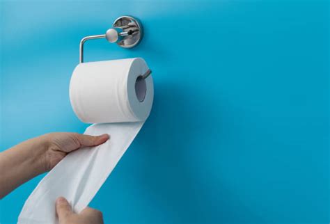 Porte Papier Toilette Quelles Alternatives