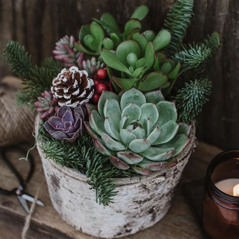 In this article we hope to help you narrow down your choices and help you make. Pin on Garden