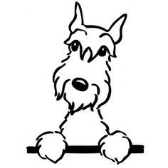 Miniature Schnauzer Coloring Pages Clip Art Library
