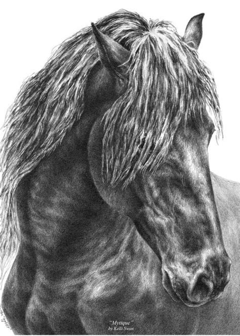 Crowd Pleasers Clydesdale Draft Horse Art Print Greeting Card For