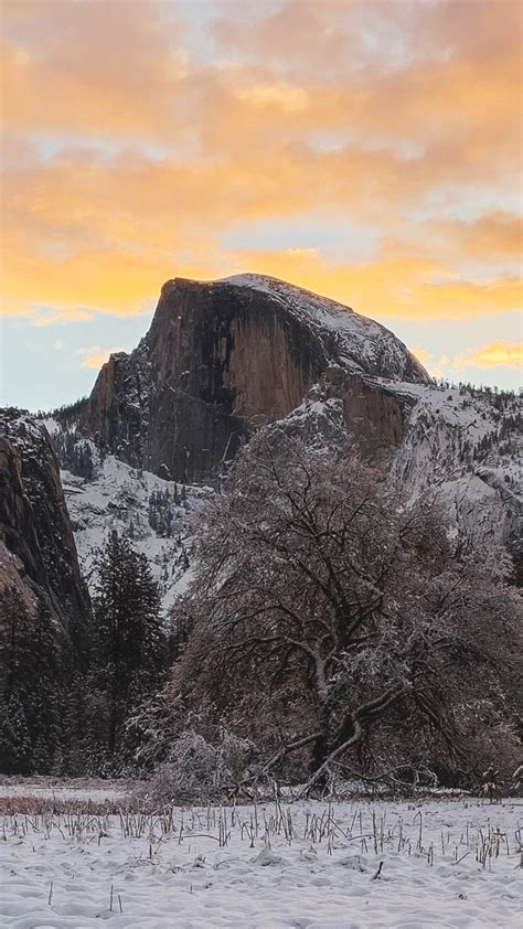 18 Yosemite Winter Iphone Wallpaper Ryan Wallpaper