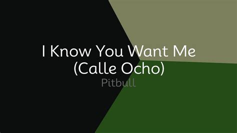 Pitbull I Know You Want Me Calle Ocho Lyrics Youtube