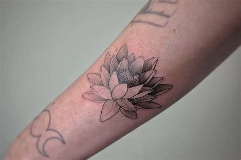 35 Awesome Water Lily Tattoo Ideas 2023 Inspiration Guide