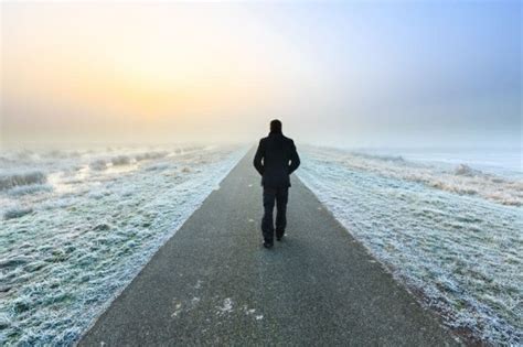 A puppy is not a marathon runner, neither is it homer simpsons. How Far Can You Walk? ⋆ InsideIIM.com