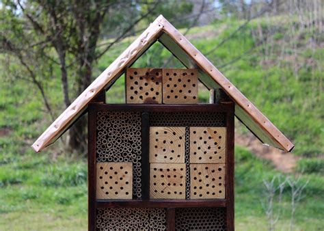Bee Hotels Provide Nesting Habitat For A Range Of Native Solitary