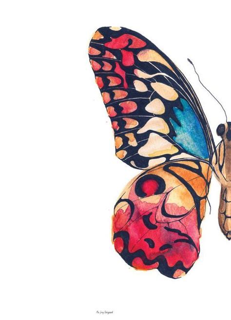Quadro Decorativo Metade Borboleta Com Moldura De Madeira Butterfly