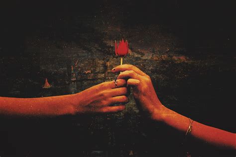 Page 2 top post is sana twice yes or yes 4k wallpaper. Wallpaper Rose, Hands, 4K, Love, #8734 | Wallpaper for ...