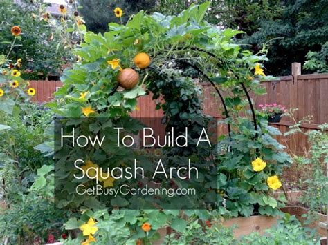 How to make a garden arch tunnel. How To Build a Squash Arch | Home Design, Garden ...