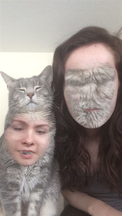 this one with a pretty kitty face swaps funny face swap disney face swaps