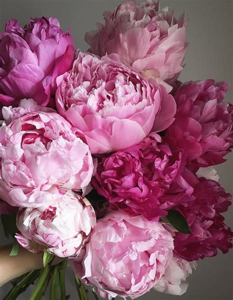 Bouquet Of Peonies In Cerritos Ca Cerritos Hills Florist