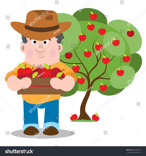 Farmer Collects Harvest Apples Farming Agricultural Stock Vector