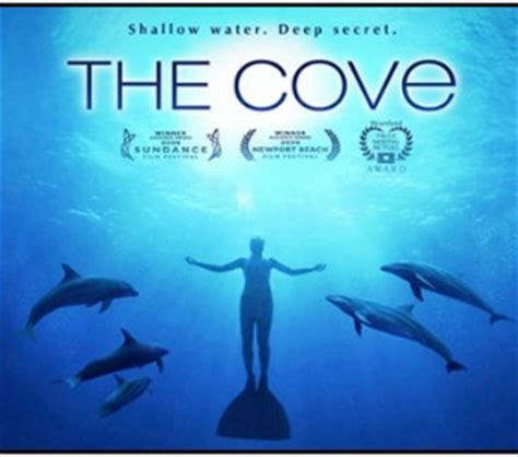 It's about a town where lingering pollution from careless practices by a local factory. Star of Oscar-winning film about dolphin hunting cast in ...