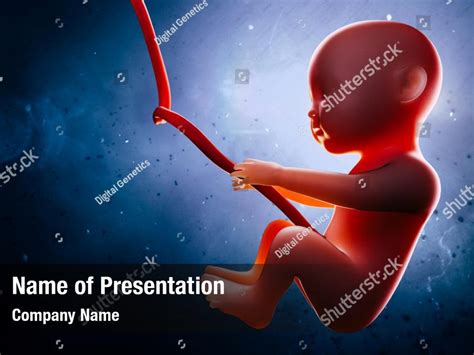 Human Physiology Powerpoint Template Human Physiology Powerpoint