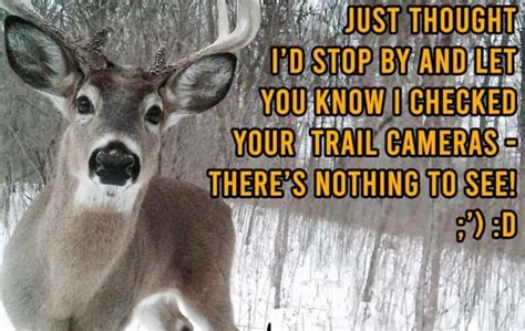 Best Deer Hunting Meme On The Internet Memes Point
