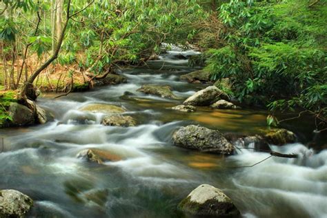 Free Picture Water River River Stone Ecology Waterfall Stream