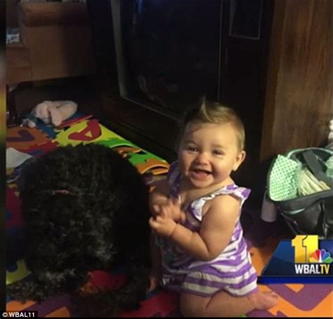 Dog Saves Life Of Little Girl Caught In Fire By Lying On