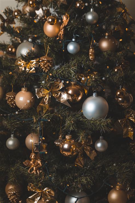 무료 이미지 크리스마스 장식 크리스마스 트리 Holiday Ornament 분기 인테리어 디자인 전나무 행사