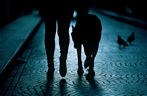 How To Walk Your Dog At Night Safely