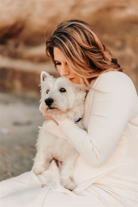 Can Pet Ashes Be Scattered at Any Beaches in San Diego? | Paws Into Grace
