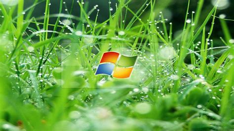 30 3d Windows 8 Wallpapers Images Backgrounds Pictures Design