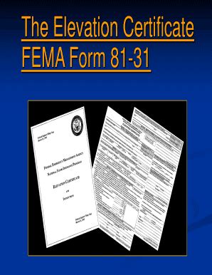 Check spelling or type a new query. Fillable Fema Form 81 31 2006 - Fill Online, Printable, Fillable, Blank | PDFfiller
