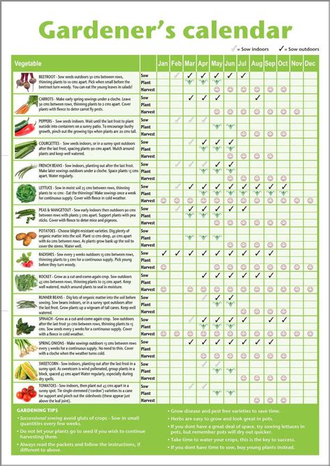 compatible garden vegetable planting chart