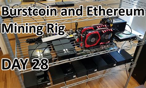 The cost of a cryptocurrency mining setup in 2021. Burstcoin and Ethereum Mining Rig Earnings - Day 28 — Steemit