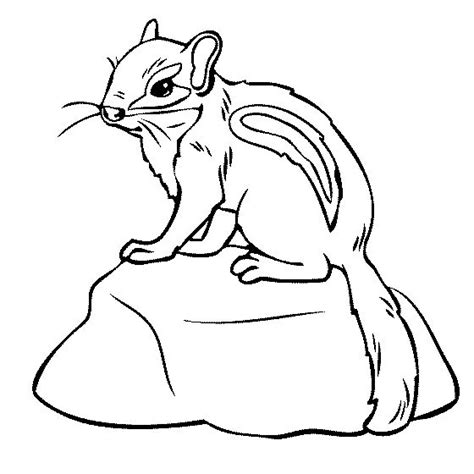 Chipmunk Coloring Pages To Download And Print For Free