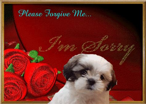 Please Forgive Me Im Sorry Free Sorry Ecards Greeting Cards 123