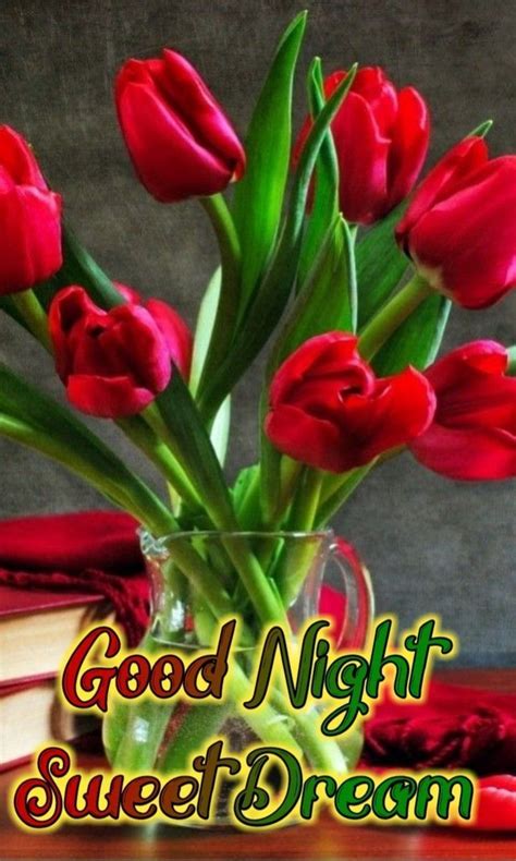 Pin By Bipin Raj On Good Morning Night Evening Good Night Flowers