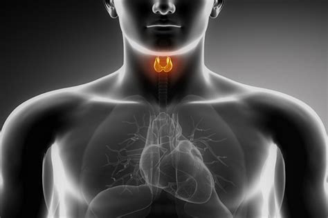 Hyperthyroidism Causes Early Diagnosis And Treatment