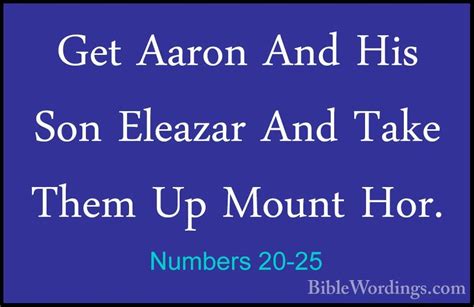 Numbers 20 Holy Bible English