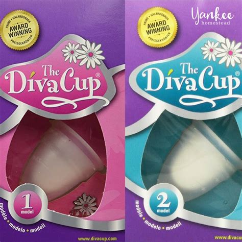 How To Insert The Diva Cup Perfectly Every Time Roots And Boots