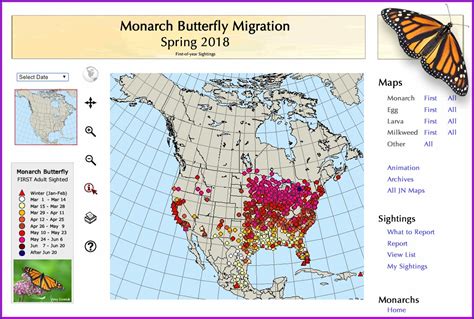 Baltimore Oriole Migration Map 2018 Map Resume Examples