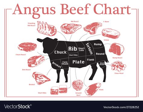 Angus Beef Chart Royalty Free Vector Image Vectorstock
