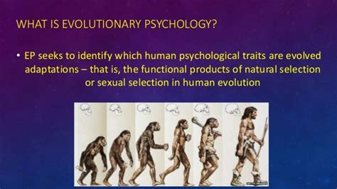 Evolutionary Psychology Aggression