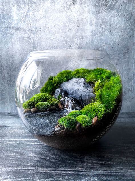 Maybe you would like to learn more about one of these? Moss terrarium with waterfall | Terrarium scene, Garden terrarium, Mini garden