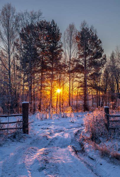 Закат в зимнем лесу стоковое фото ©winston 31749547