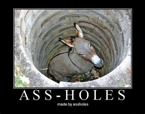 Ass Holes
