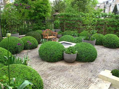 Check spelling or type a new query. 鏡野が: 優れた 5 6 Foot Evergreen Shrubs