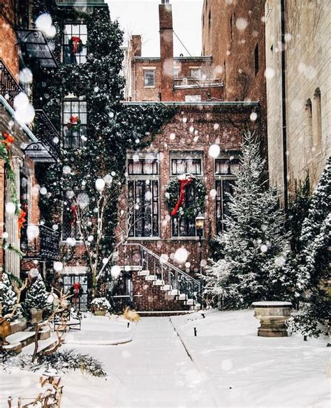 50 Amazing Winter Garden Landscape Sweetyhomee