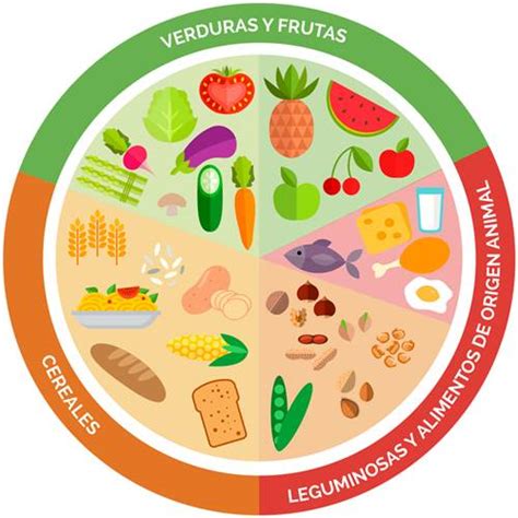 Introducir Imagen Dibujos Del Plato Del Buen Comer Para Ni Os