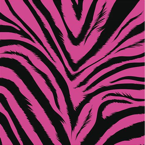 Pink Zebra Print Background Illustrations Royalty Free Vector Graphics