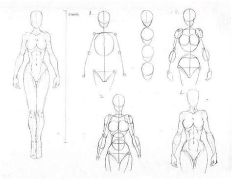 Aprende A Dibujar El Cuerpo Humano Con Este Sencillo Tutorial Como