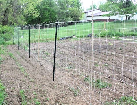 Beans are light feeders and do not need extra fertilization as long as you plant them in an organically rich soil. trellis for pole beans | Unique garden ideas | Pinterest ...