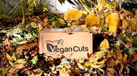 Vegan Cuts Snack Box October Unboxing Youtube